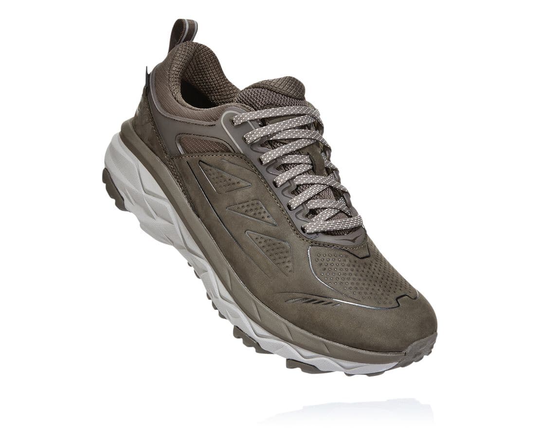 Dámské Běžecká Obuv Hoka One One Challenger Low Gore-Tex Wide Hnědé Výprodej,SIWPN-2803